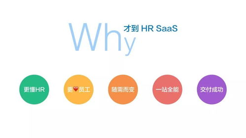 一体化和一站式hr saas是企业服务能飞起来的风口