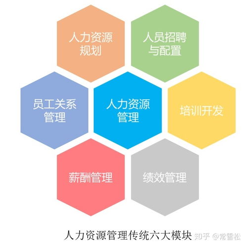 人力资源三支柱模型的实践与思考