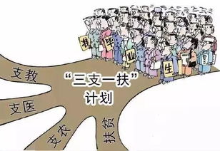 毕业生,河南 三支一扶 今年计划招募1000人 6月7日开报名