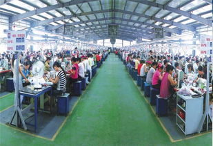 河南原阳官厂乡建了社区富了村民