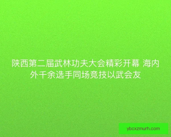 陕西第二届武林功夫大会精彩开幕 海内外千余选手同场竞技以武会友