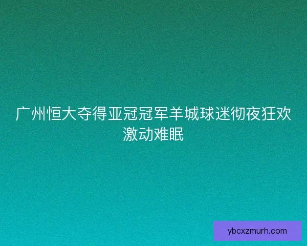 广州恒大夺得亚冠冠军羊城球迷彻夜狂欢激动难眠 广州恒大夺得亚冠冠军羊城球迷彻夜狂欢激动难眠