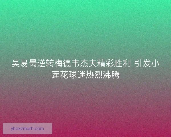 吴易昺逆转梅德韦杰夫精彩胜利 引发小莲花球迷热烈沸腾